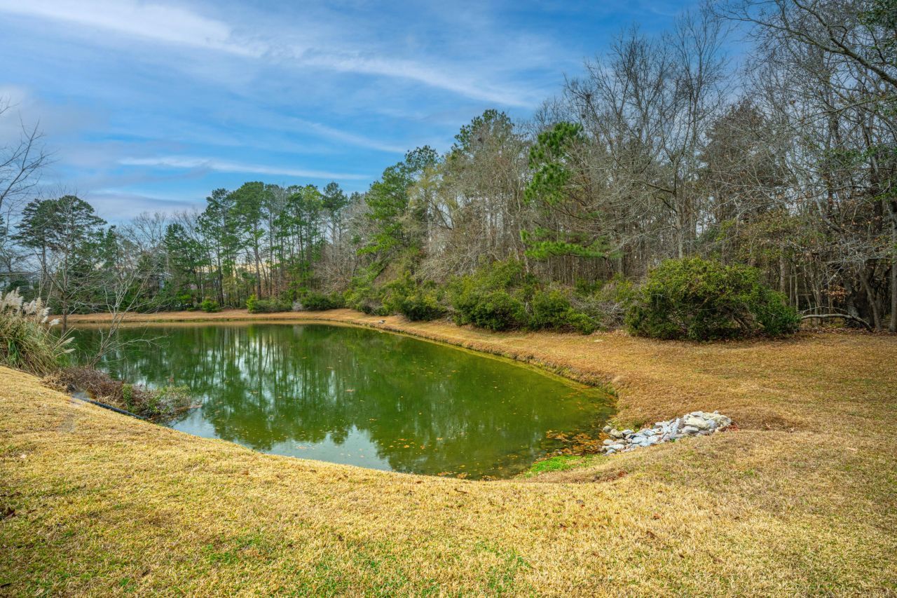 291 Cabrill Drive Photo 53