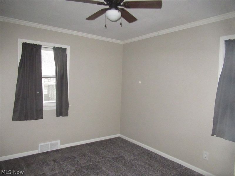 223 Fairview Avenue, Canfield, OH 44406 Photo 16