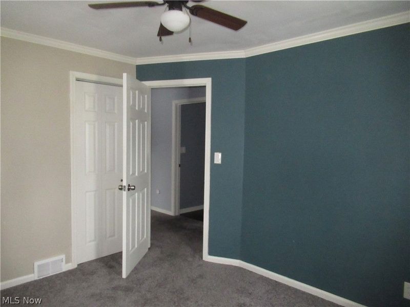 223 Fairview Avenue, Canfield, OH 44406 Photo 17