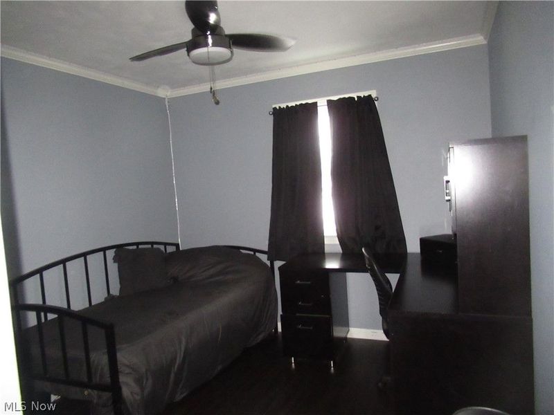 223 Fairview Avenue, Canfield, OH 44406 Photo 18