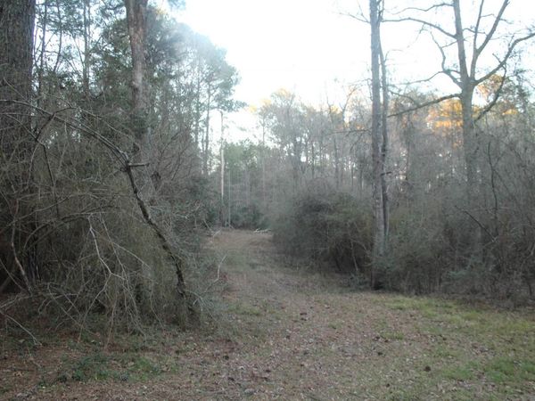 TBD Odeal Williams Ln, Ethel, LA 70730