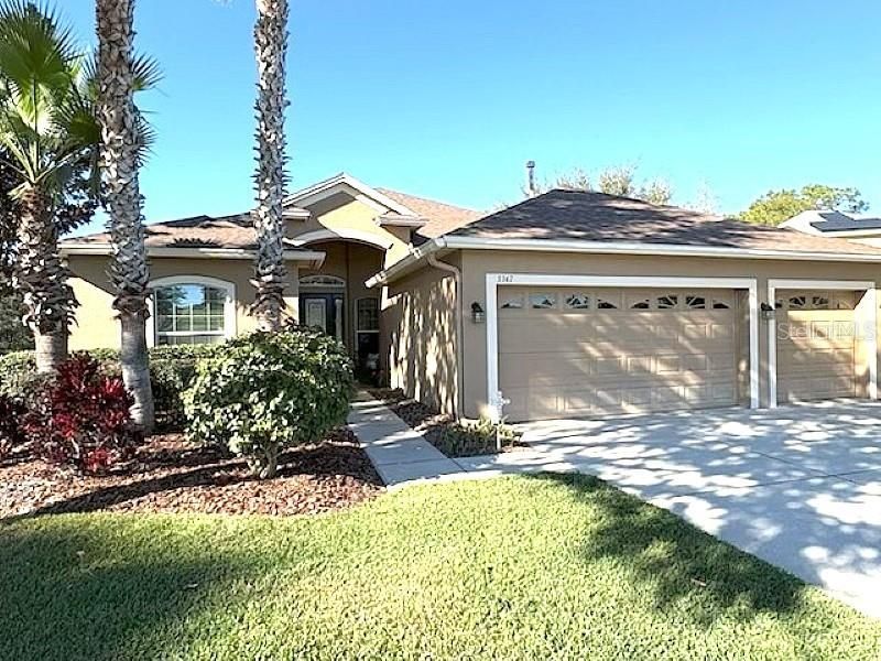 3347 Diamond Falls Circle, Land O Lakes, FL 34638 Main Photo