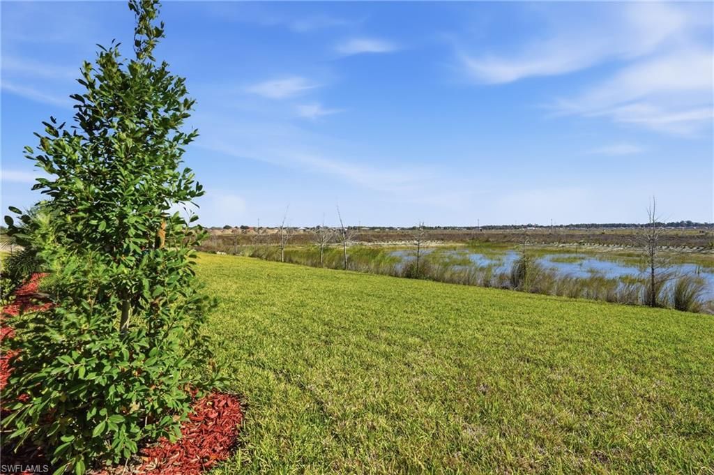 3958 Button Sage Rd, Alva, FL 33920 Photo
