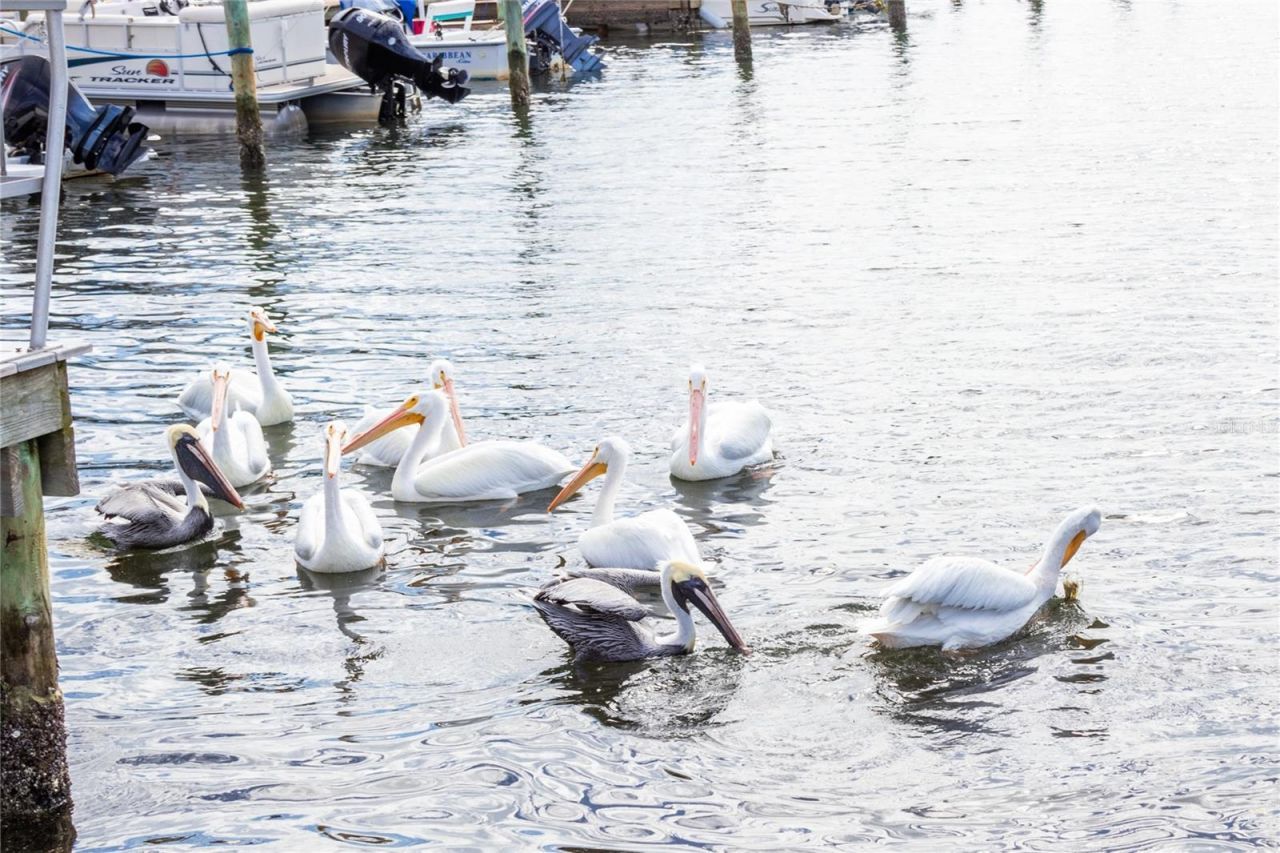 10315 Cortez Road W, Unit 28-1, Bradenton, FL 34210 Photo