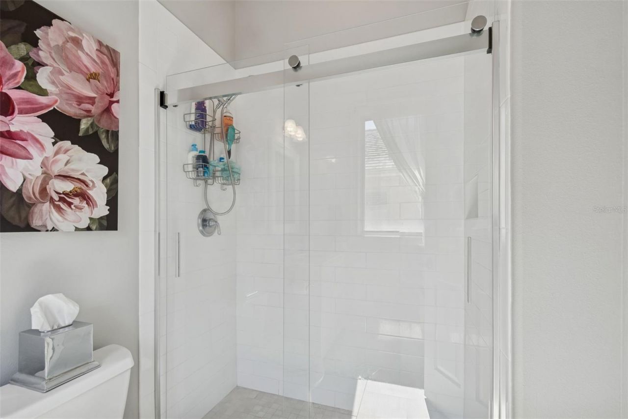 610 Saxony Boulevard, Saint Petersburg, FL 33716 Photo