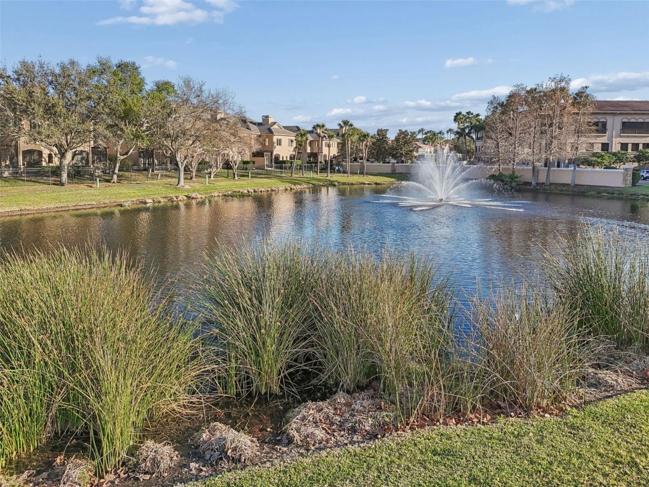 610 Saxony Boulevard, Saint Petersburg, FL 33716 Photo