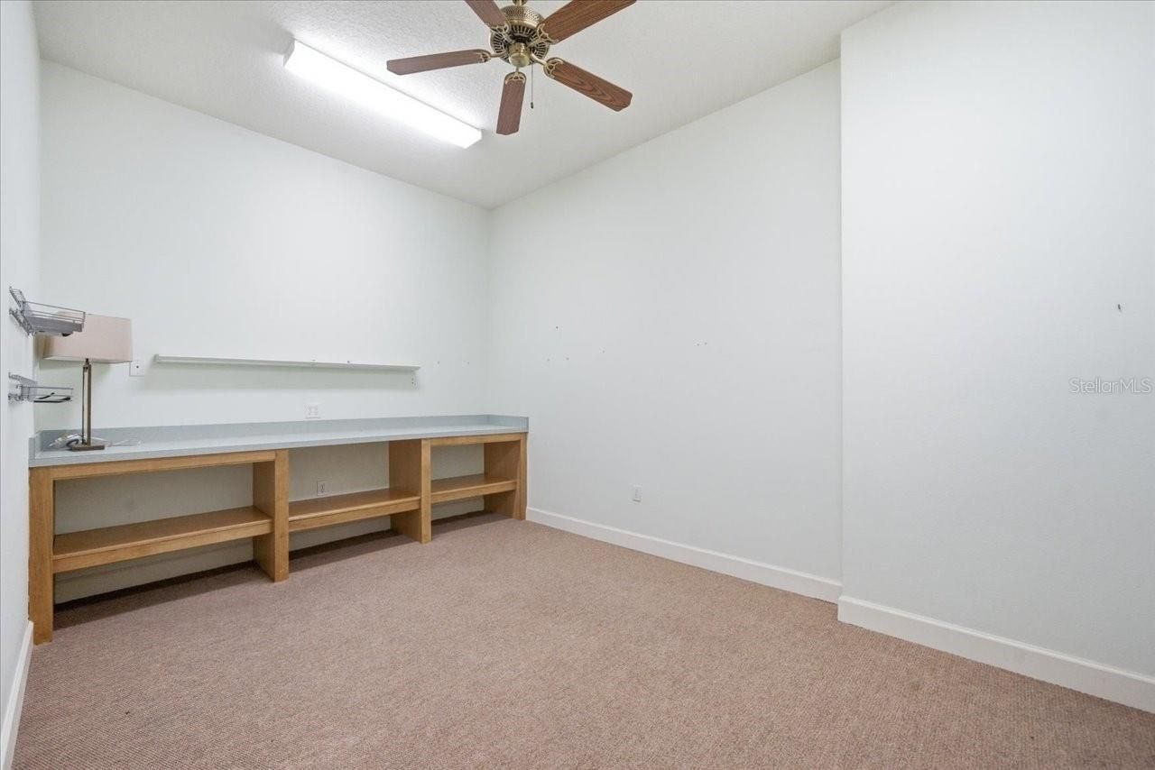 12002 Hope Lane, Tampa, FL 33618 Photo