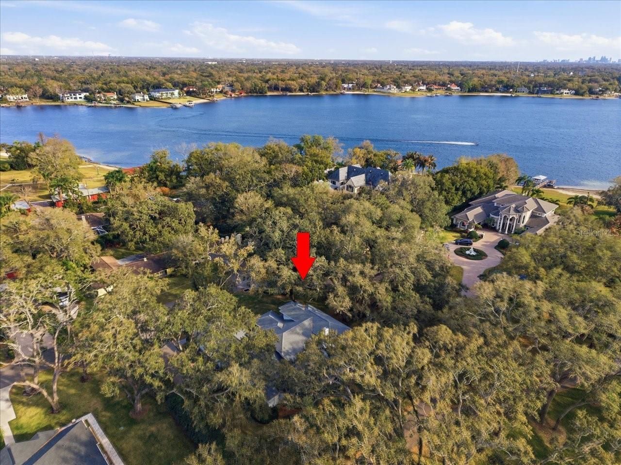 12002 Hope Lane, Tampa, FL 33618 Photo