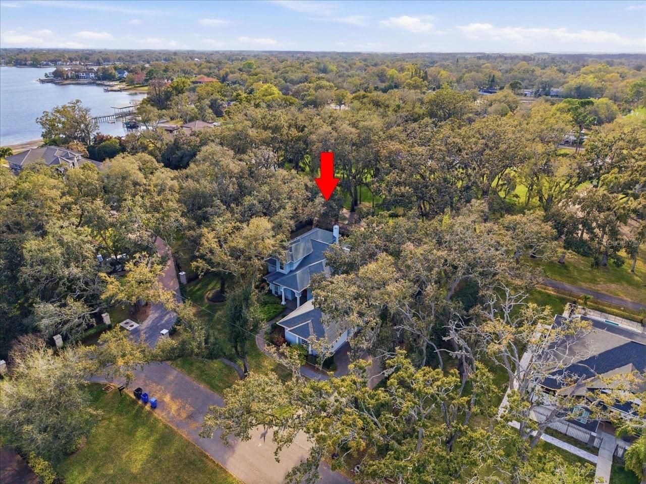 12002 Hope Lane, Tampa, FL 33618 Photo