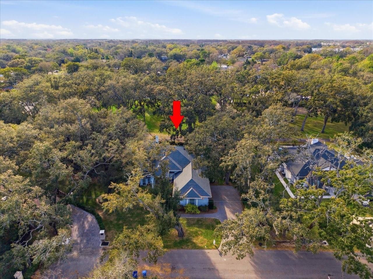 12002 Hope Lane, Tampa, FL 33618 Photo