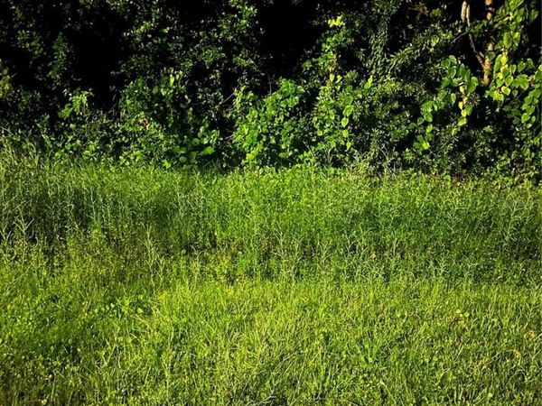 814 MASSY COURT , KISSIMMEE, FL 34759