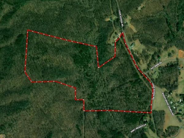 1096-1238 Cook School Road , Unit 97+/- AC T, Pilot Mountain, NC 27041