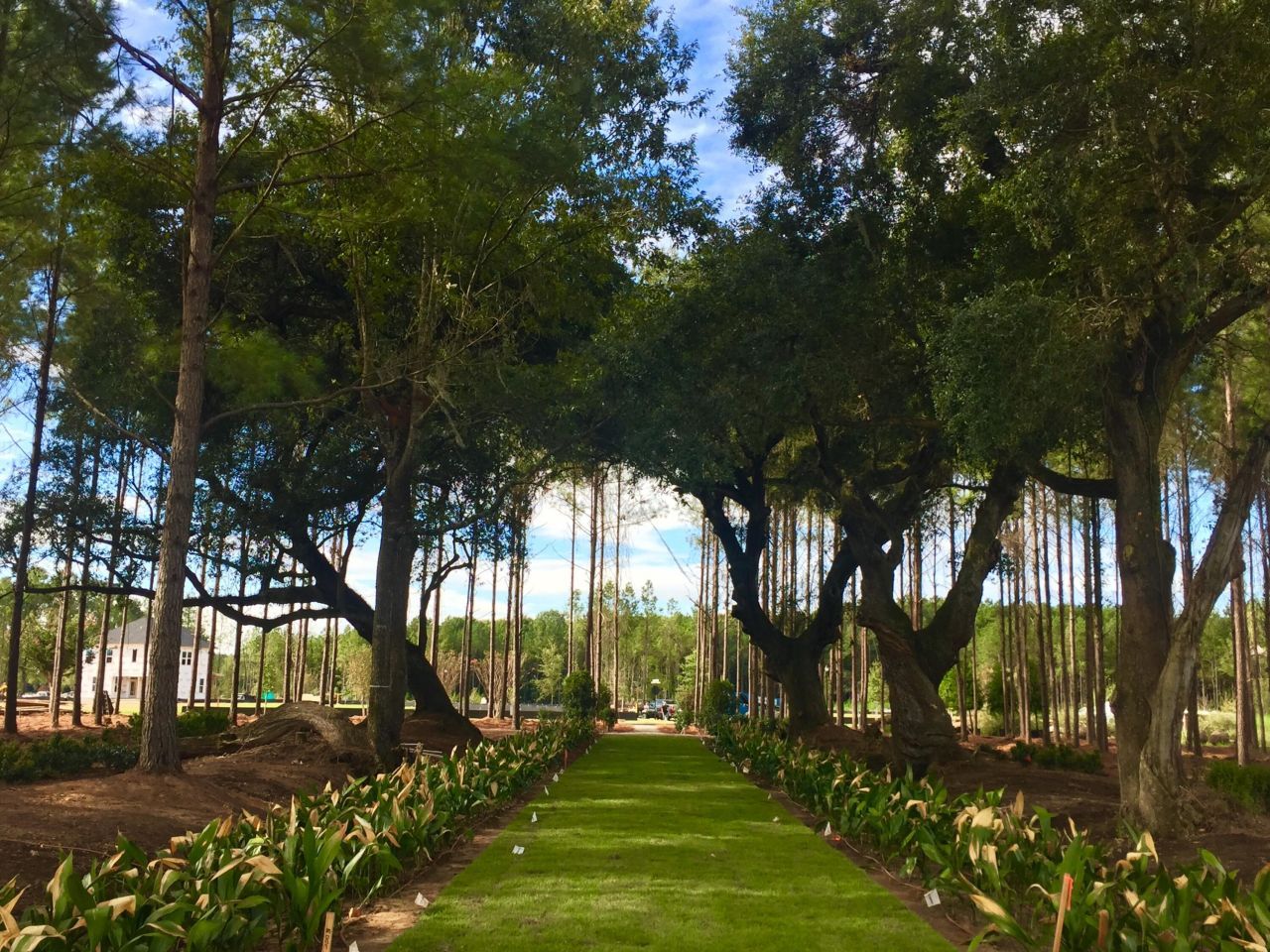 1043 Patagonia Street Photo 37