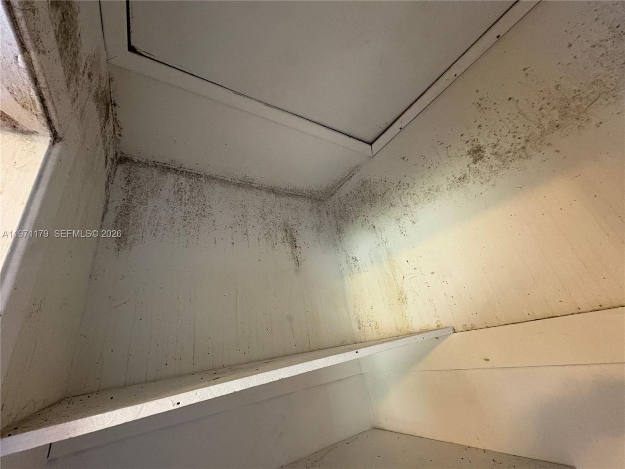 4948 SW 90th Ter, Cooper City, FL 33328 Photo