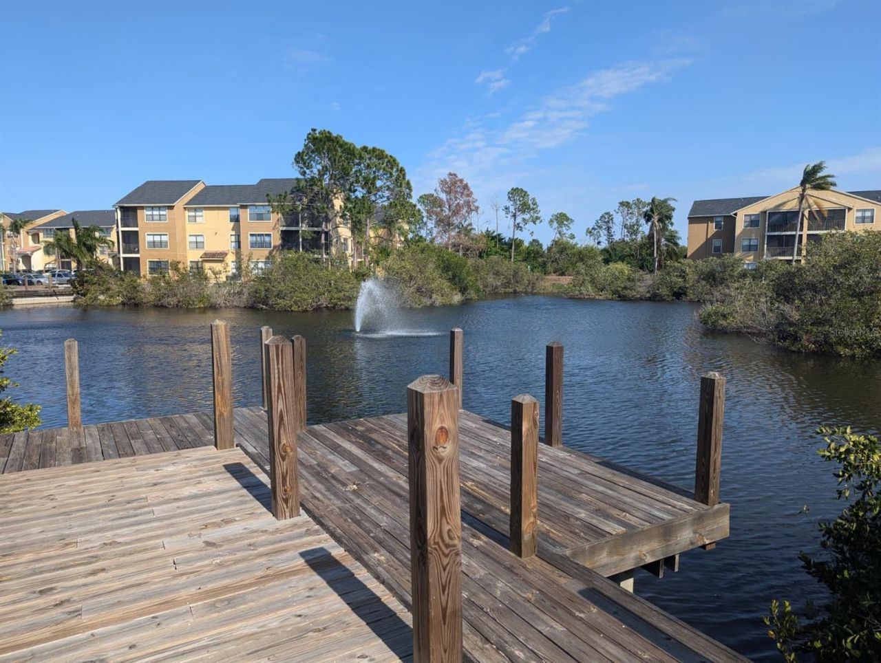 11901 N 4th Street N, Unit 5212, Saint Petersburg, FL 33716 Photo