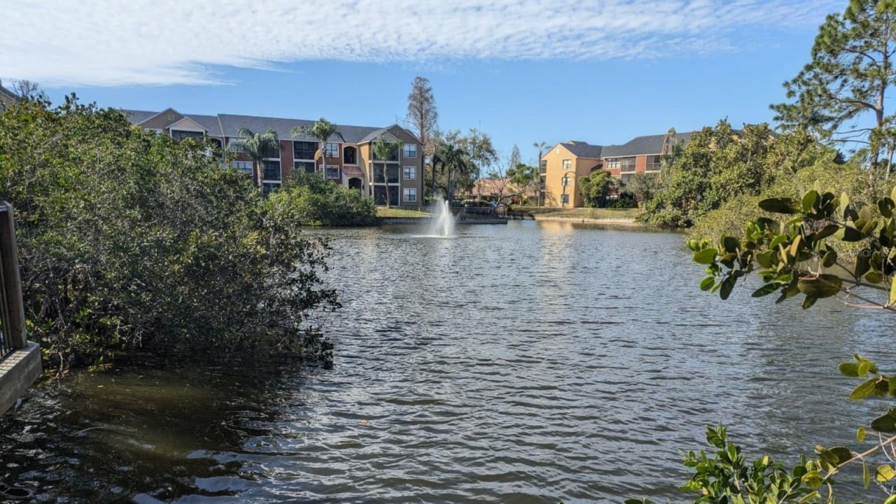 11901 N 4th Street N, Unit 5212, Saint Petersburg, FL 33716 Photo