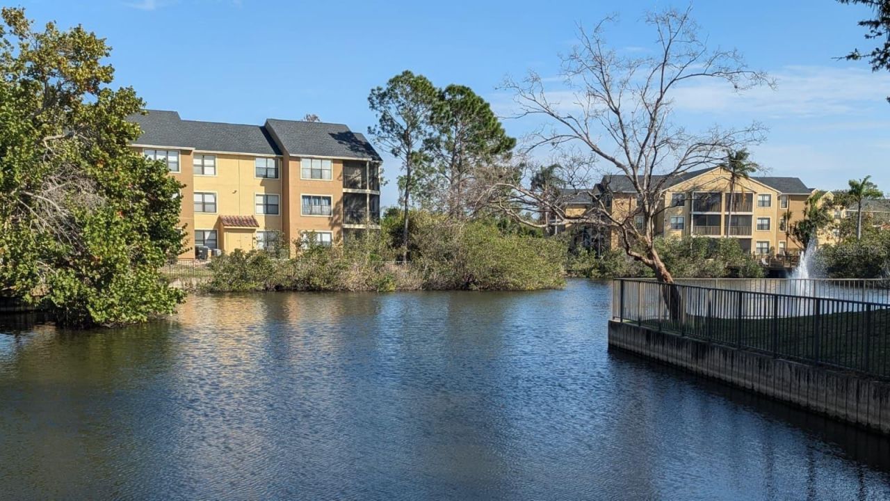 11901 N 4th Street N, Unit 5212, Saint Petersburg, FL 33716 Photo