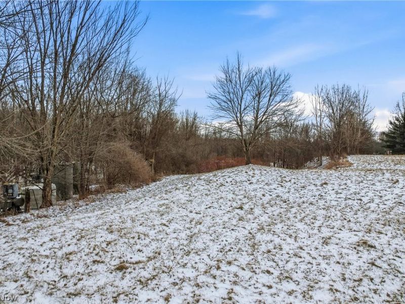 Brookhollow Drive, Warren, OH 44481 Photo 16