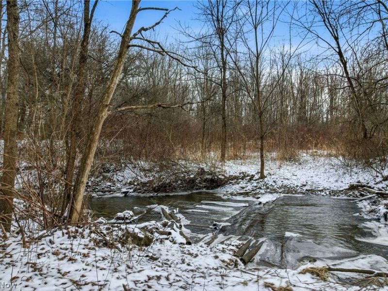 Brookhollow Drive, Warren, OH 44481 Photo 19