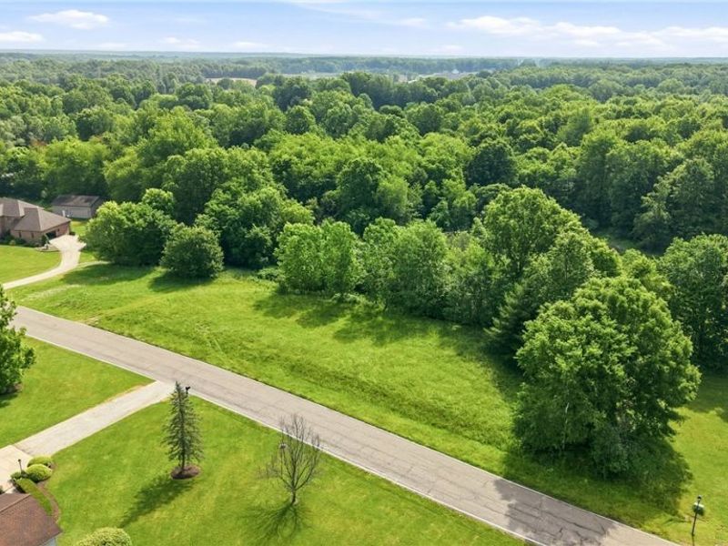 Brookhollow Drive, Warren, OH 44481 Photo 4