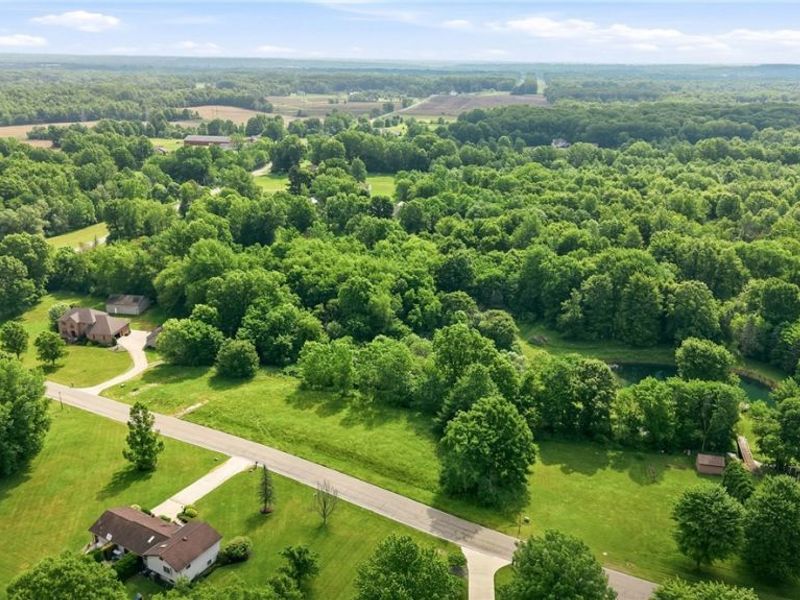 Brookhollow Drive, Warren, OH 44481 Photo 5
