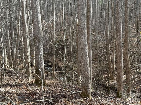 00000 Martins Creek Road , Barnardsville, NC 28709