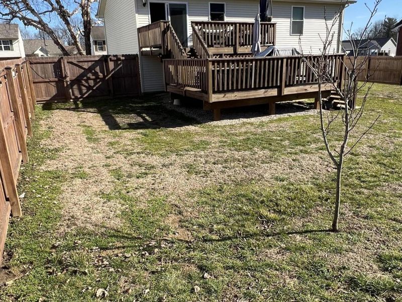 203 Sandpiper Lane, Warsaw, KY 41095 Photo 18