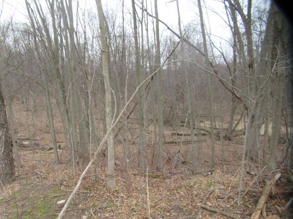 Williamsville Street, Cassopolis, MI 49031