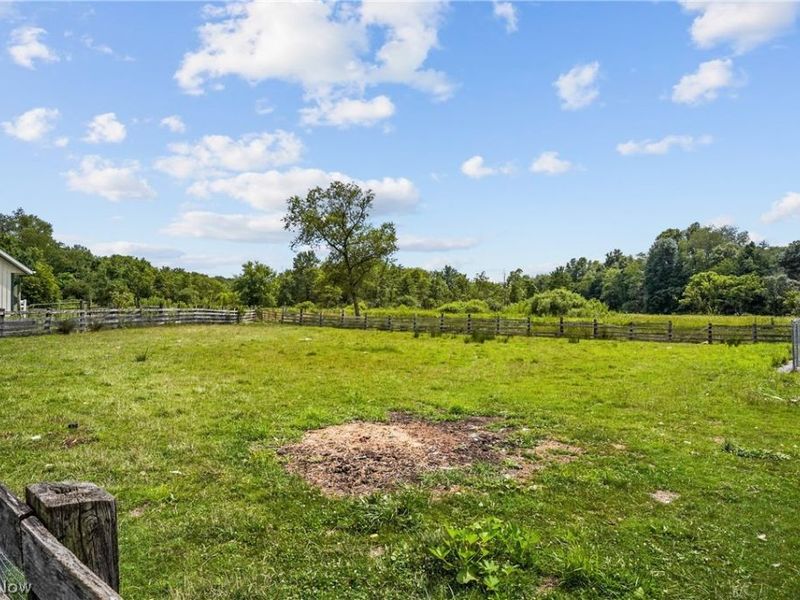 41919 State Route 558, Leetonia, OH 44431 Photo 44