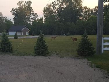 7696 Varty Court, Lexington Vlg, MI 48450