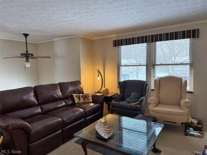 994 Erin Drive, Kent, OH 44240 Photo 6