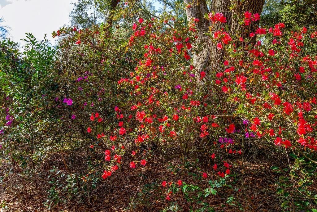 103 NE Suwannee River Drive, Mayo, FL 32066 Photo