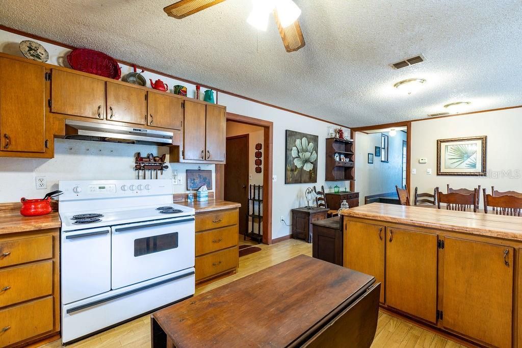 103 NE Suwannee River Drive, Mayo, FL 32066 Photo