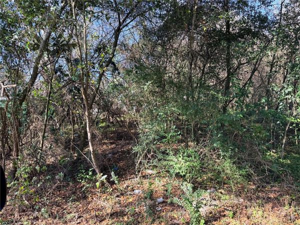 TBD NW 151ST AVENUE, ALACHUA, FL 32615