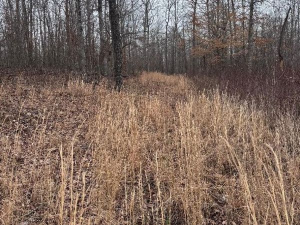 0 Old State Highway 13, Hurricane Mills, TN 37078