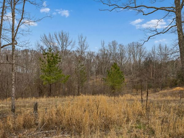 0 Mosley Ferry Rd, Unit 3, Ashland City, TN 37015