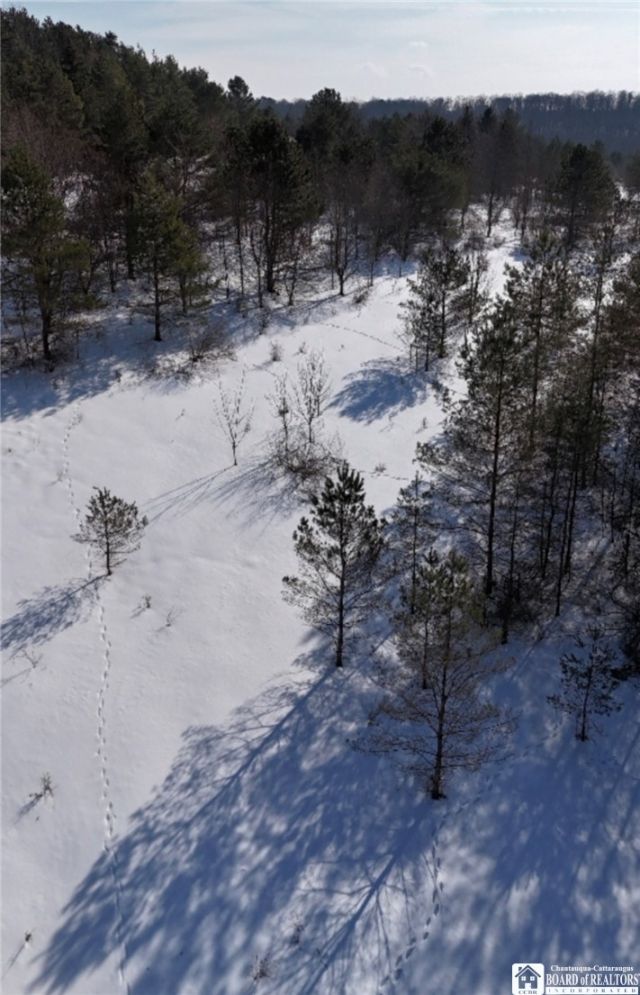 Reynolds Road, Franklinville, NY 14737 Main Photo