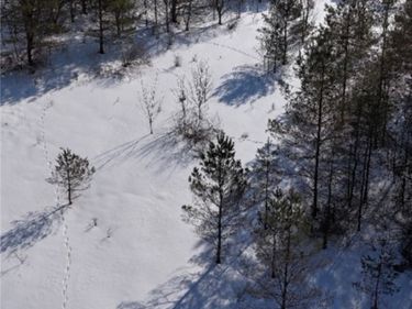 Reynolds Road, Franklinville, NY 14737