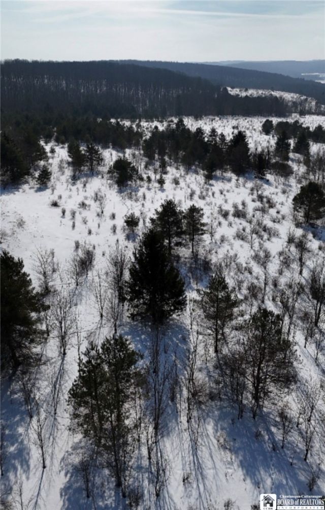 2644 Reynolds Road, Franklinville, NY 14060 Main Photo