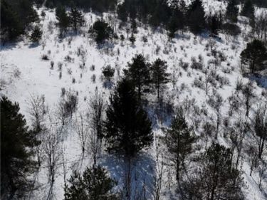 2644 Reynolds Road, Franklinville, NY 14060