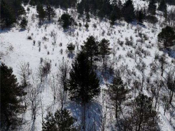 2644 Reynolds Road, Franklinville, NY 14060