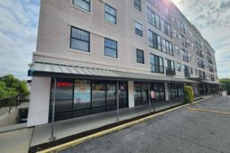 2009 Greene Street photo 4