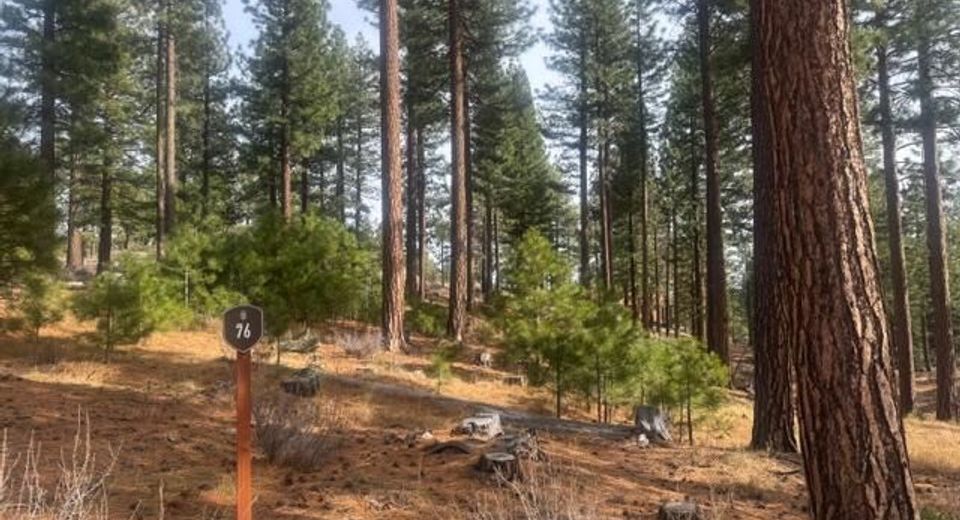 49 Boulders Bend Drive, Lot #76, Carson City, NV 89705 Photo