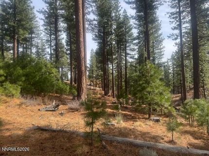 49 Boulders Bend Drive, Lot #76, Carson City, NV 89705 Photo