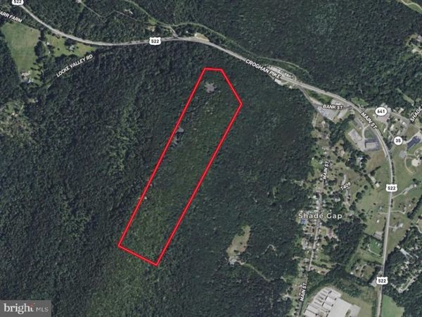 50+/- ACRES OFF OF CROGHAN PIKE, ORBISONIA, PA 17243