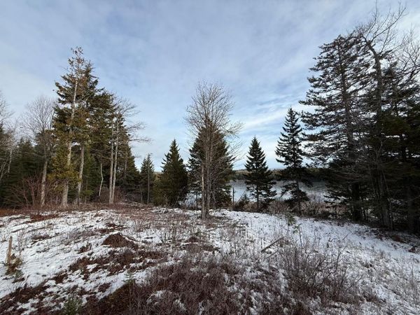 Lot 7BH Steam Mill Road, Robbinston, ME 04671