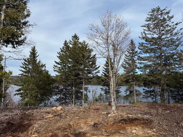 Lot 7BH Steam Mill Road, Robbinston, ME 04671