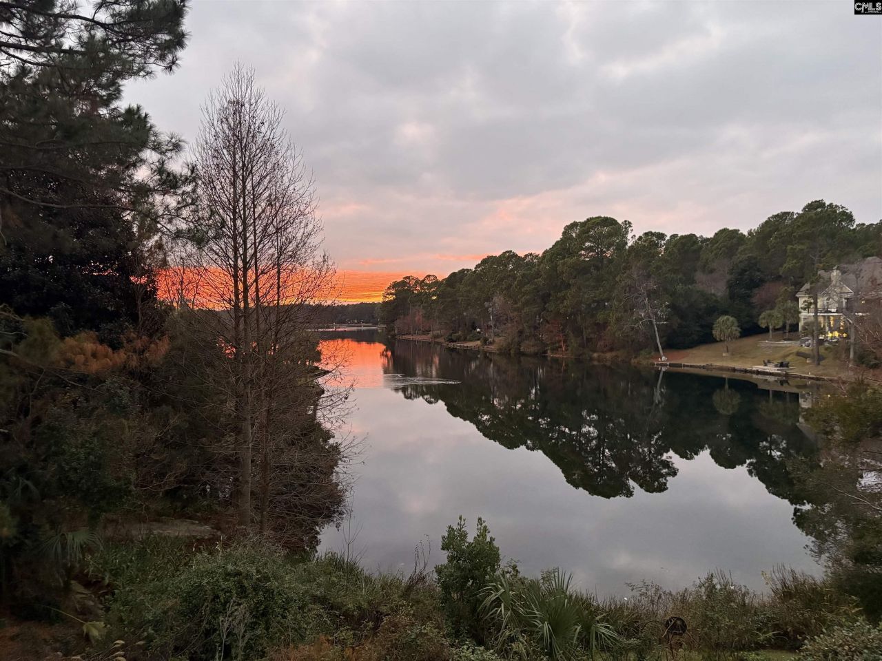 310 Aiken Hunt Circle Photo 66