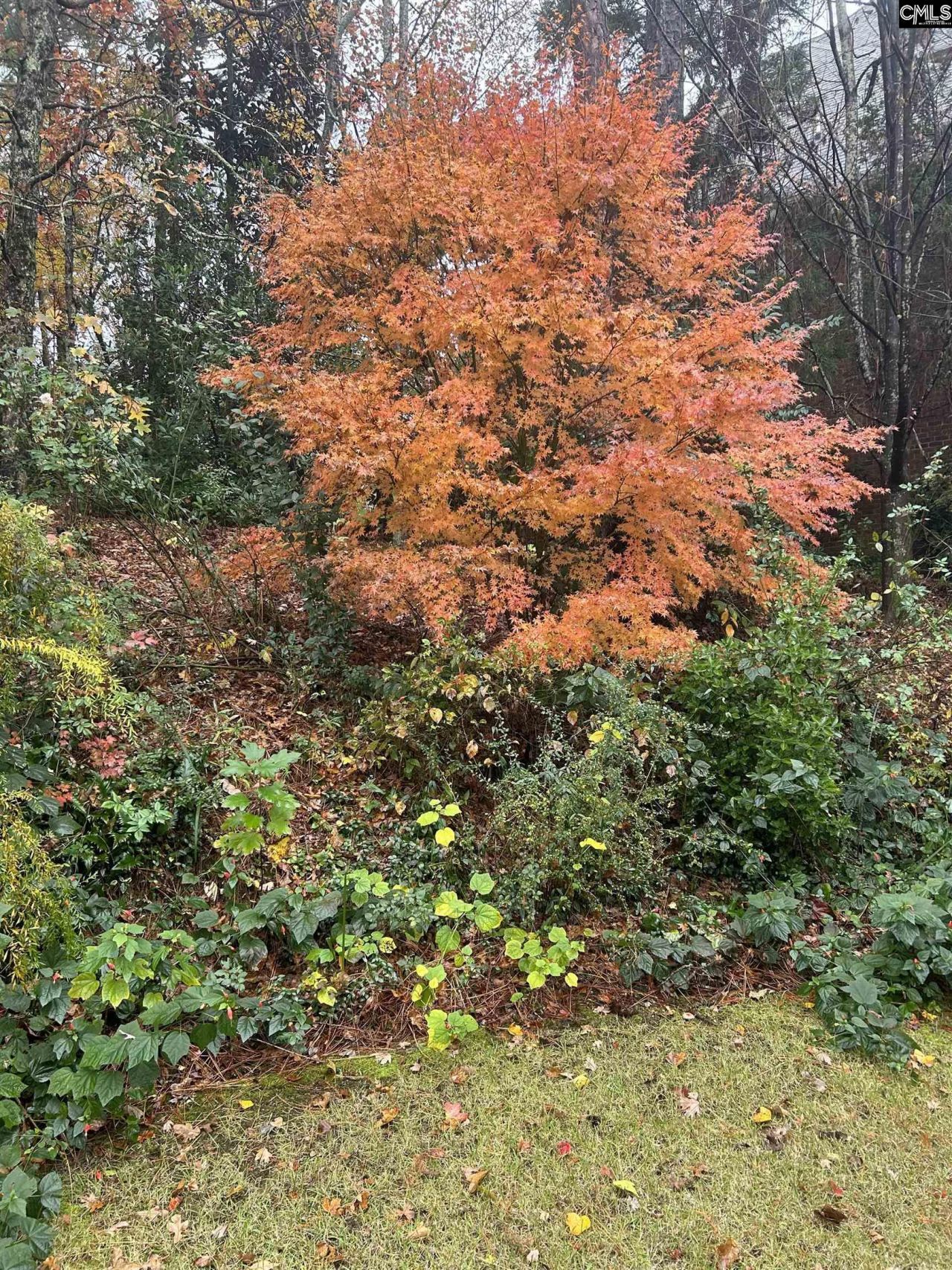 310 Aiken Hunt Circle Photo 72