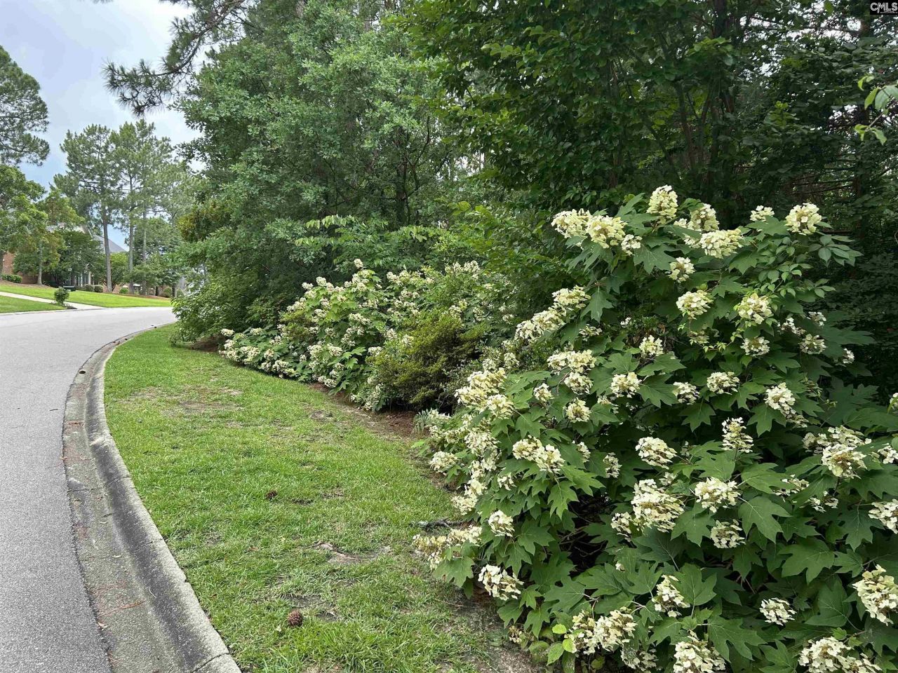 310 Aiken Hunt Circle Photo 75